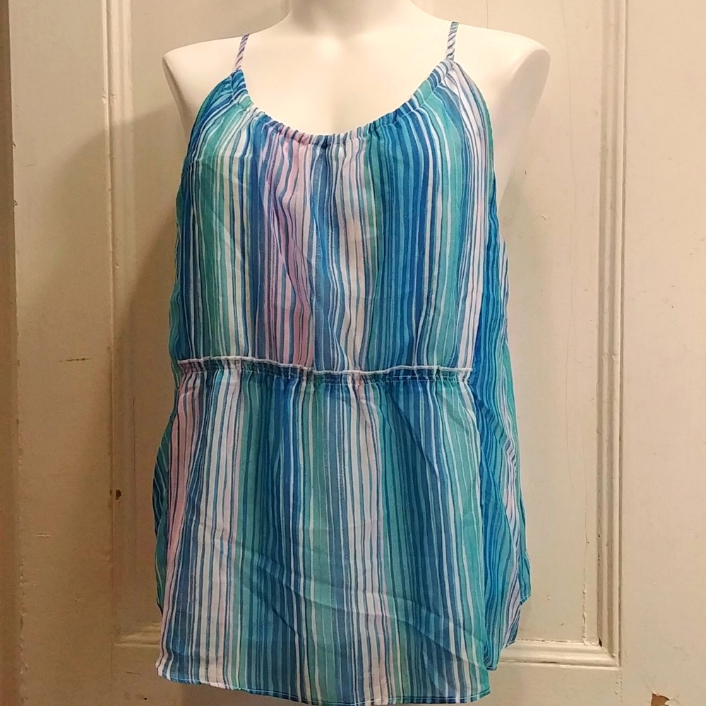NWT Design History Sleeveless Blue and White Stripped Top
